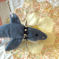 Punk Shark Beanie Baby