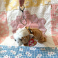Punk Bull Dog Beanie Baby